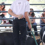 Livestock-Show-101.jpg