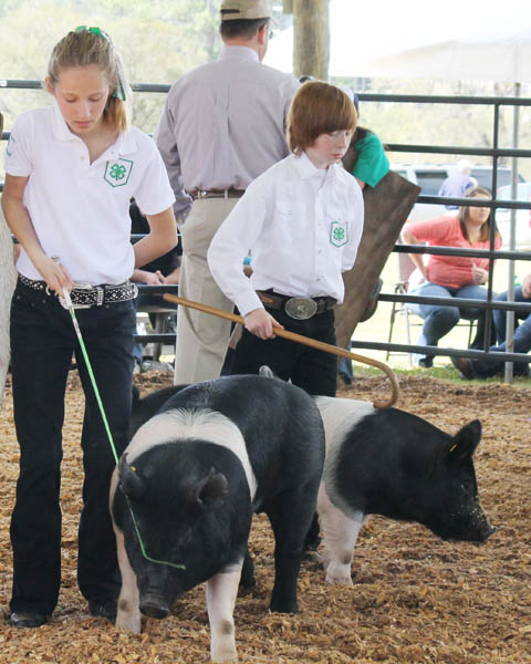 Livestock-Show-103.jpg