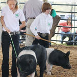 Livestock-Show-103.jpg