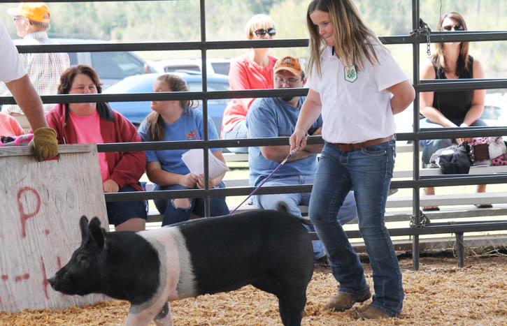 Livestock-Show-117.jpg