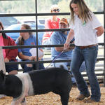 Livestock-Show-117.jpg