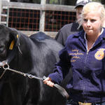 Livestock-Show-128.jpg