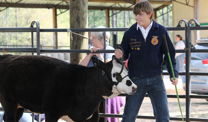 Livestock-Show-138.jpg