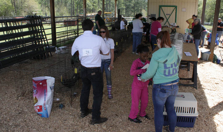 Livestock-Show-212.jpg