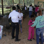 Livestock-Show-212.jpg