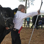 Livestock-Show-215.jpg