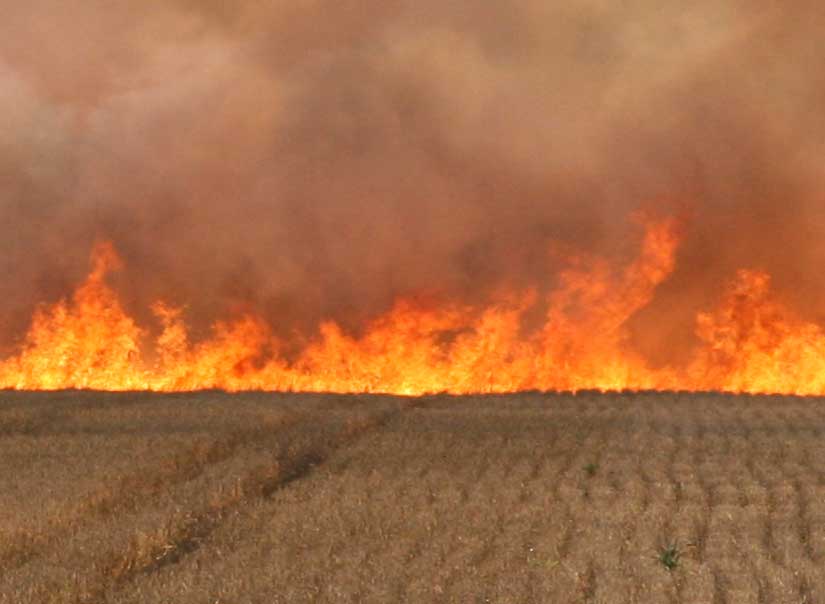 wheatfieldfire10