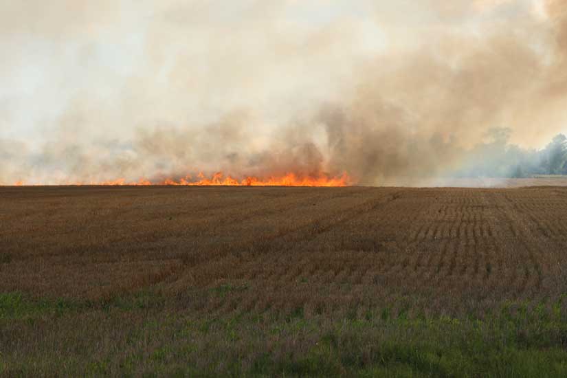 wheatfieldfire22