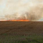 wheatfieldfire22