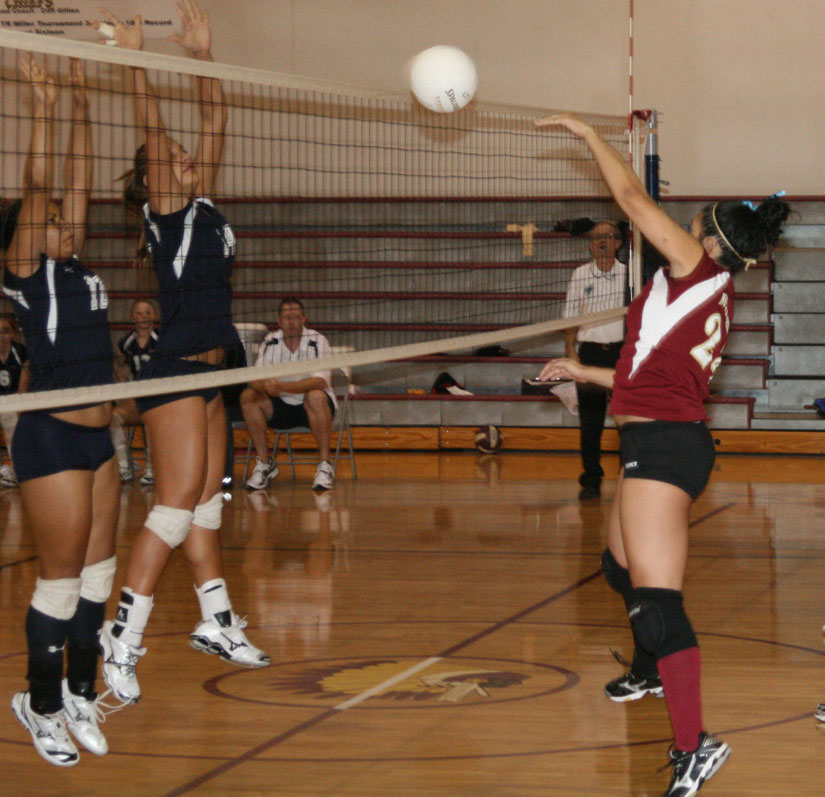 nhsvball13.jpg