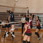 nhsvball17.jpg