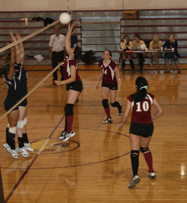 nhsvball31.jpg