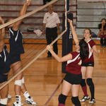 nhsvball44.jpg