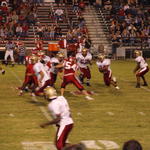 nhsblountstown15.JPG