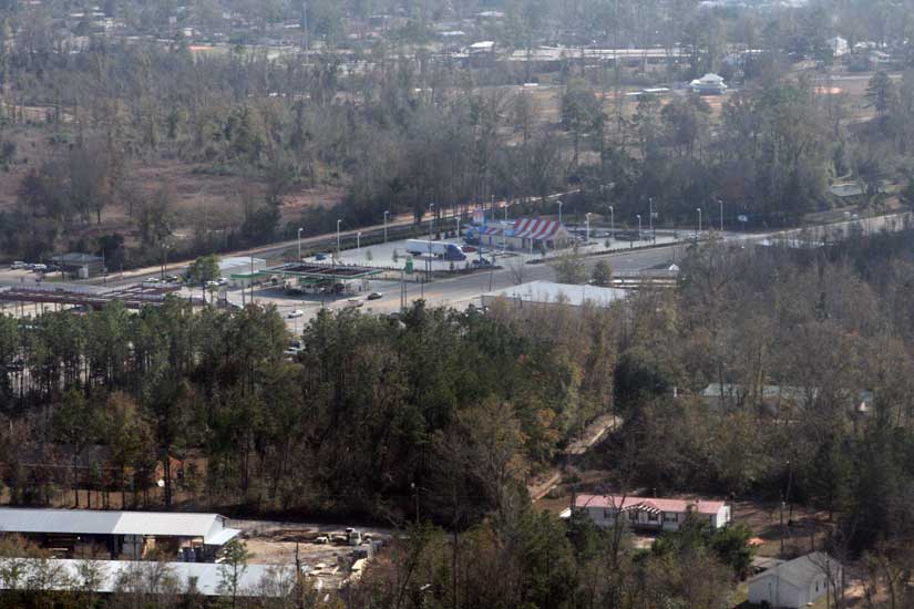 Looking at Whataburger