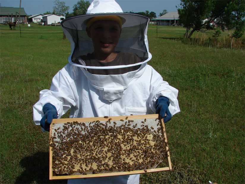 Aden working on hive