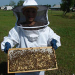 Aden working on hive