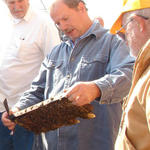 David shows us about splitting hives