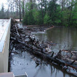 Bridge On Perdido River