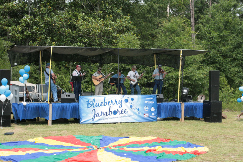 blueberry-jamboree28.jpg