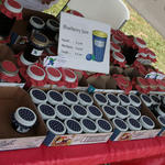 blueberry-jamboree72f.jpg