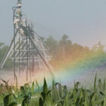 irrigation-rainbow10.jpg