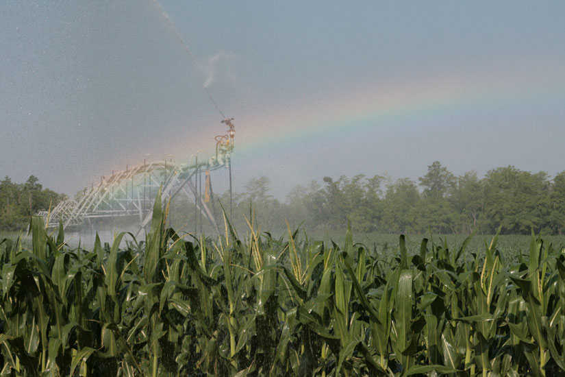 irrigation-rainbow14.jpg