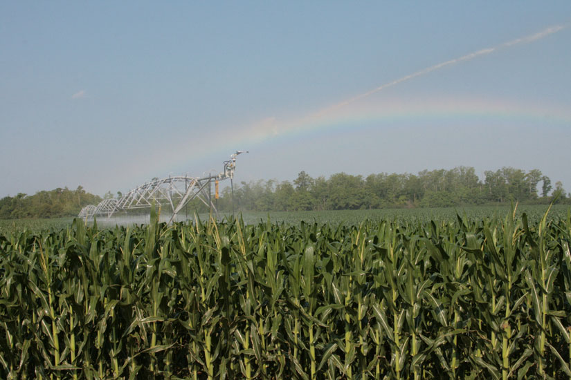 irrigation-rainbow22.jpg