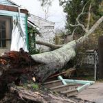 Tree Down On House, Vehicles