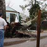 County Employee Surveys Scene