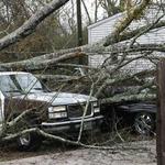 Two Vehicles Were Hit By The Tree