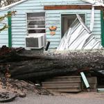 Tree Down On House, Vehicles