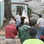 Remaining Portion Of Tree Cut