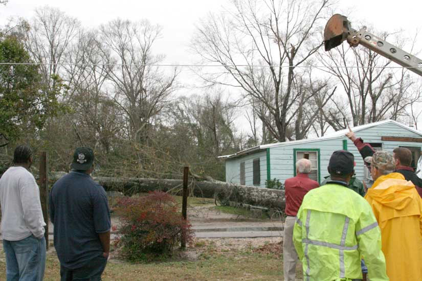 Remaing Portion of Tree On Ground