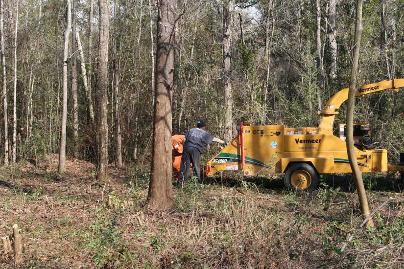 Road Prison Crews Cleaned Lot