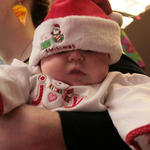 Library-Christmas-070.jpg