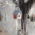 More Winter Wonderland