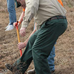 NHS-Arbor-Day-22.jpg