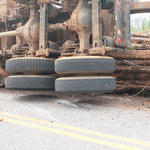 Bville-Log-Truck-032.jpg