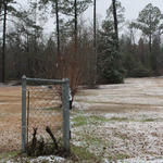 snow-atmore044.jpg