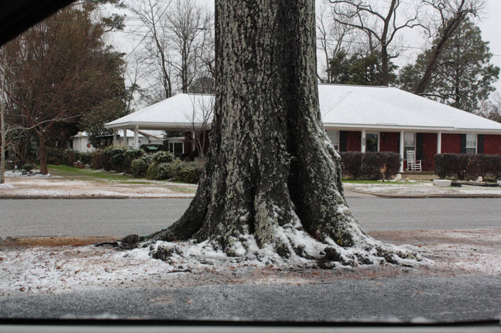 snow-atmore049.jpg