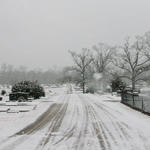2010-Snow-098.jpg