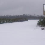 snow-huxford-ala01.jpg