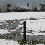2010-snow-hwy21-north-atmore-21.jpg