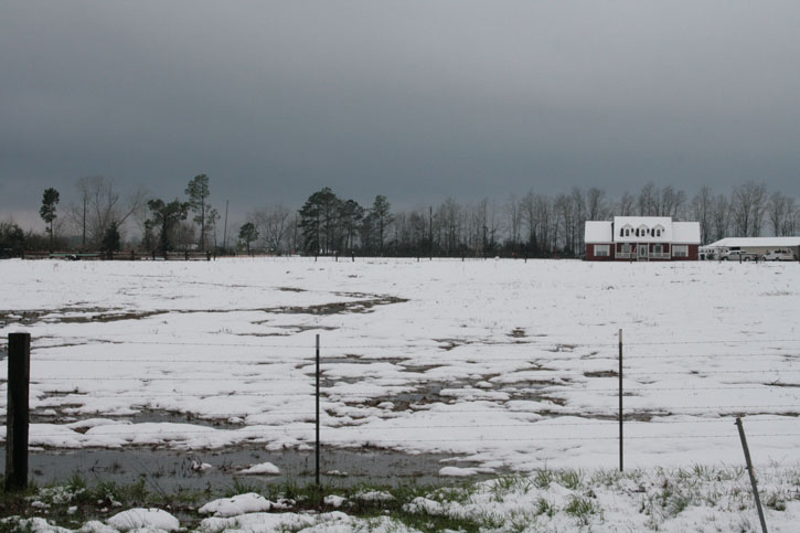 2010-snow-hwy21-north-atmore-23.jpg