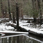 2010-snow-little-river-state-park-11.jpg