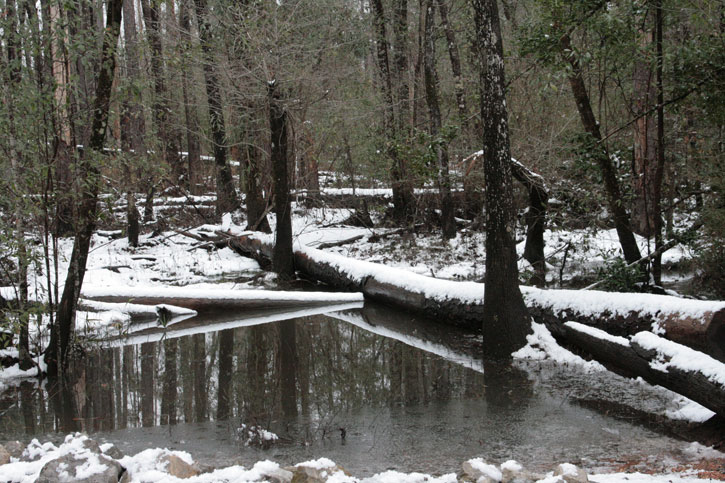 2010-snow-little-river-state-park-12.jpg