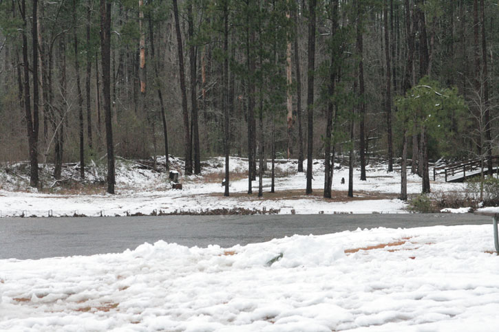 2010-snow-little-river-state-park-15.jpg