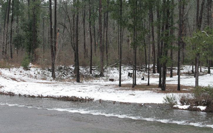 2010-snow-little-river-state-park-32.jpg