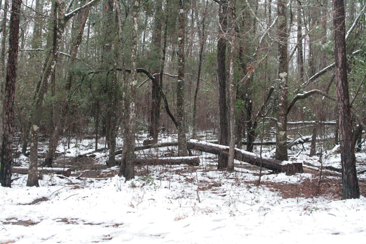 2010-snow-little-river-state-park-35.jpg